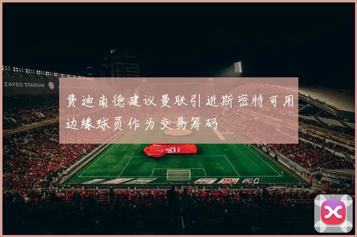 费迪南德建议曼联引进斯密特可用边缘球员作为交易筹码
